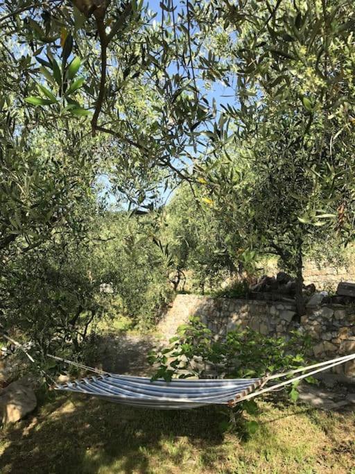 Villa Berio Due - Tuija Villa Viani Buitenkant foto