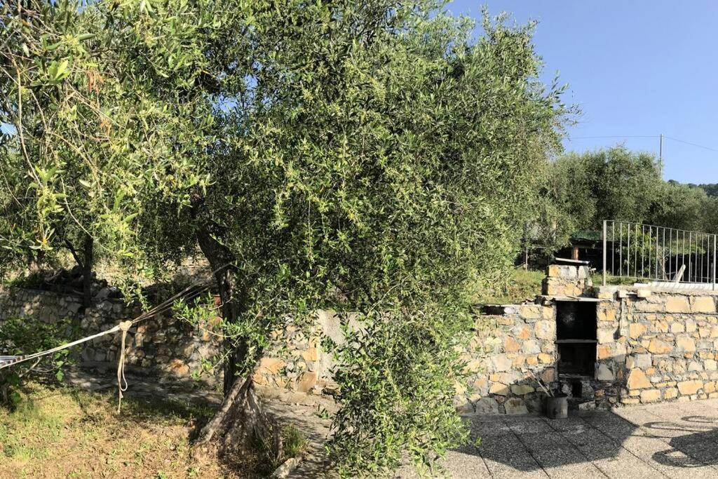 Villa Berio Due - Tuija Villa Viani Buitenkant foto