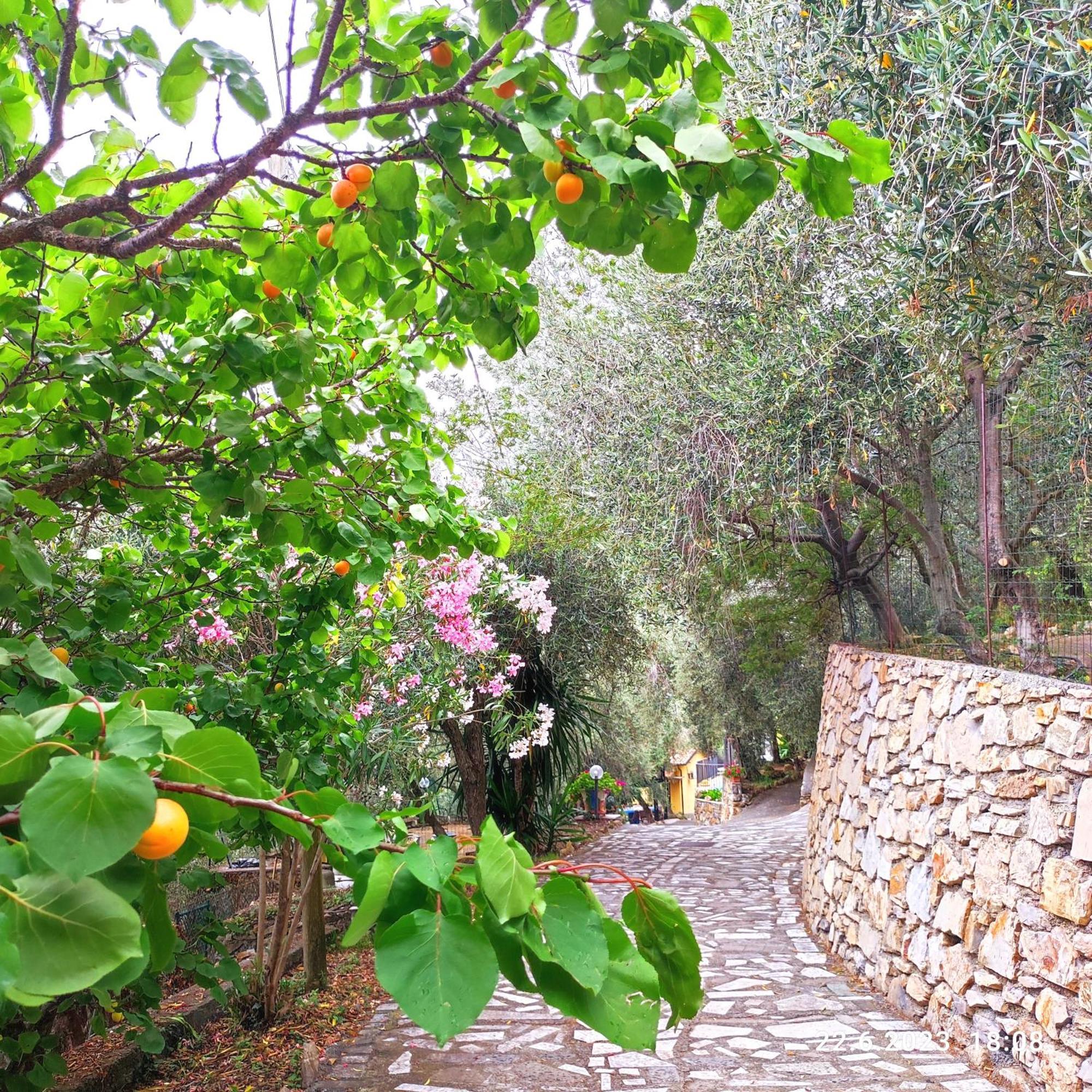 Villa Berio Due - Tuija Villa Viani Buitenkant foto