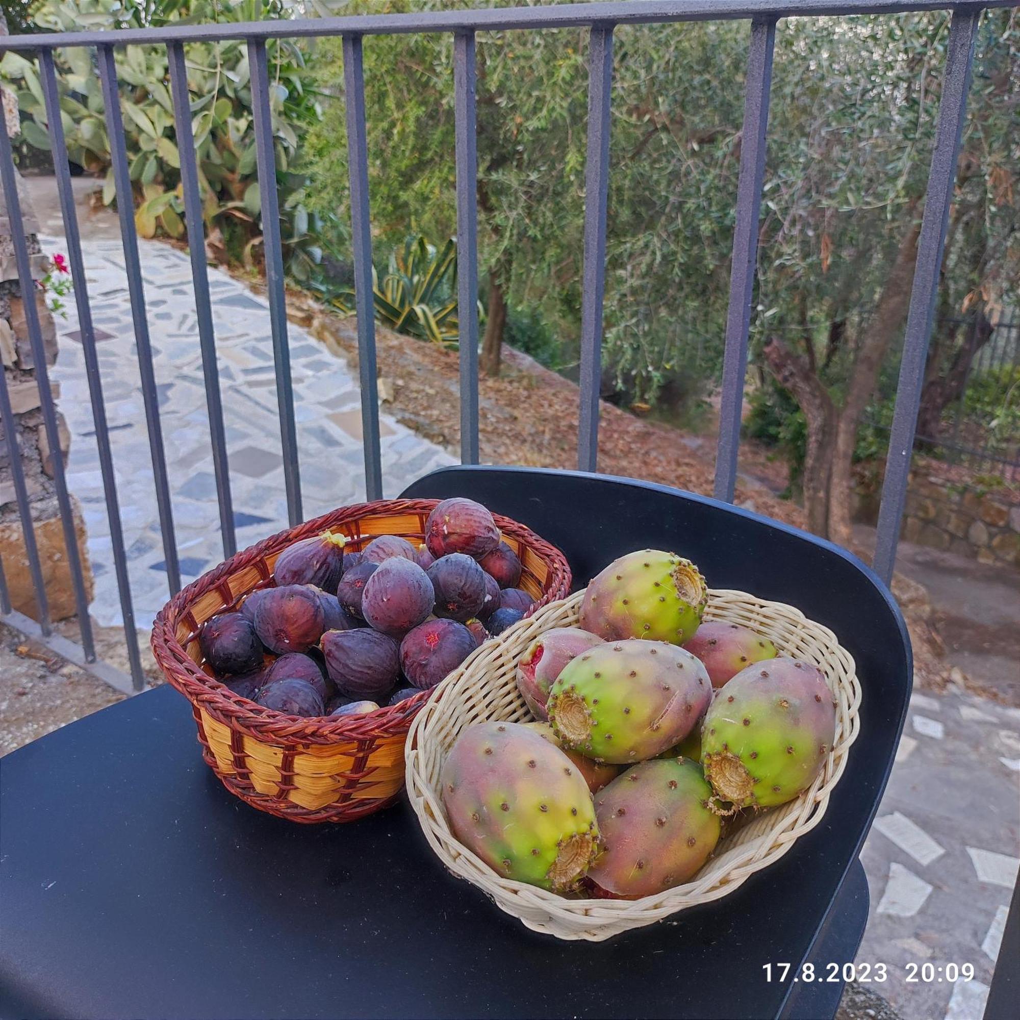 Villa Berio Due - Tuija Villa Viani Buitenkant foto